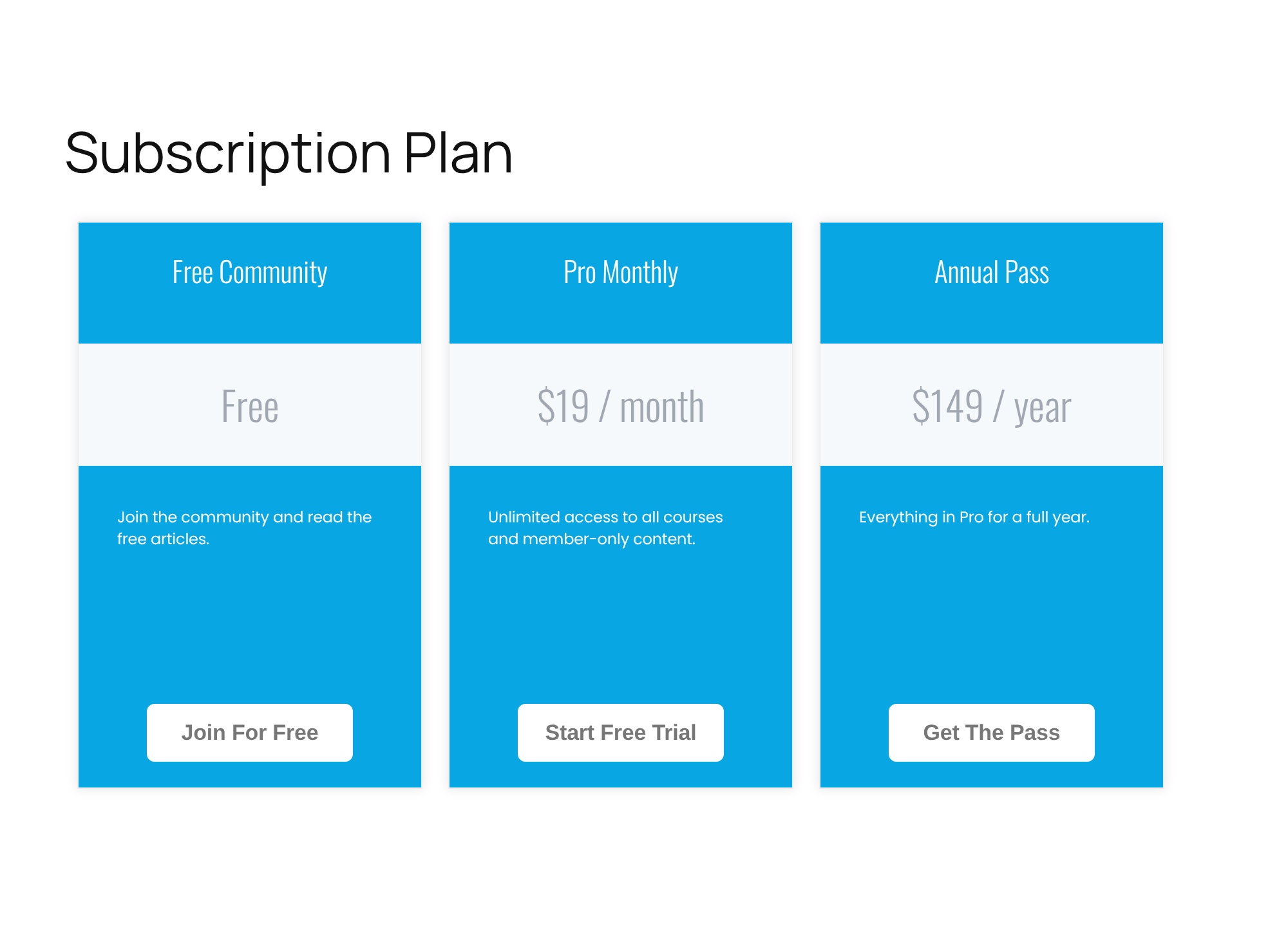 Subscription Plan page with three plan cards: Free Community, Pro Monthly at $19 per month and Annual Pass at $149 per year