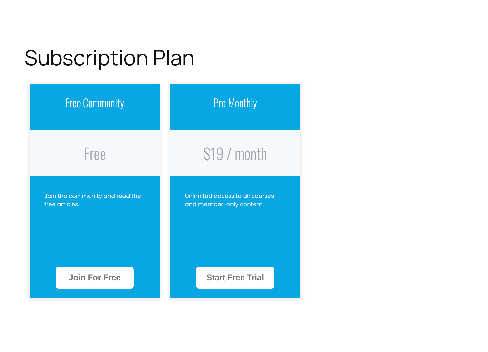 Subscription Plan page with two plan cards, Free Community and Pro Monthly, and no Annual Pass