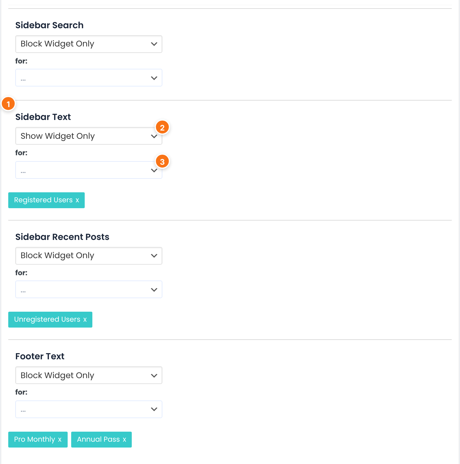 Four widget rows: Sidebar Search, Sidebar Text set to Show Widget Only for Registered Users, Sidebar Recent Posts set to Block Widget Only for Unregistered Users, Footer Text set to Block Widget Only for Pro Monthly and Annual Pass